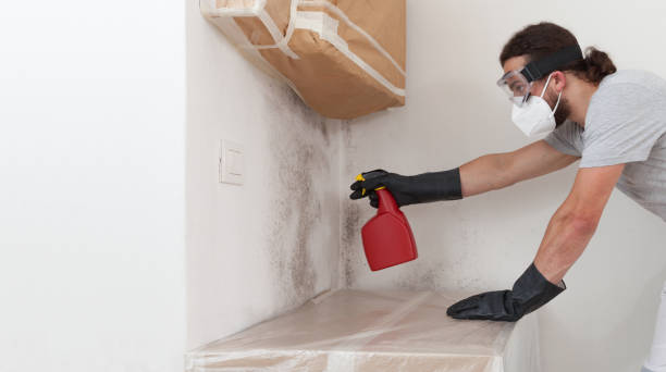 Professional Crawl Space Mold Removal technician working in Jackson, NJ